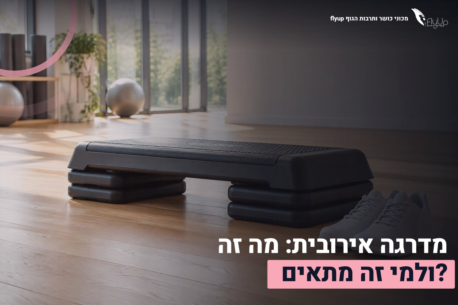 מדרגה אירובית